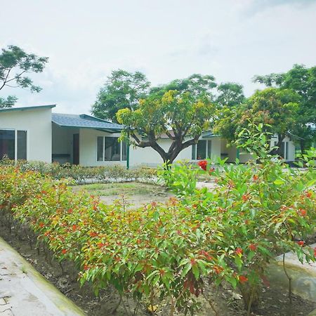 Sukoon - A Wellness Resort, Uttarakhand Chuharpur 외부 사진