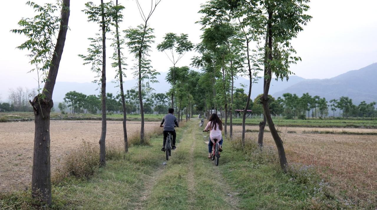 Sukoon - A Wellness Resort, Uttarakhand Chuharpur 외부 사진