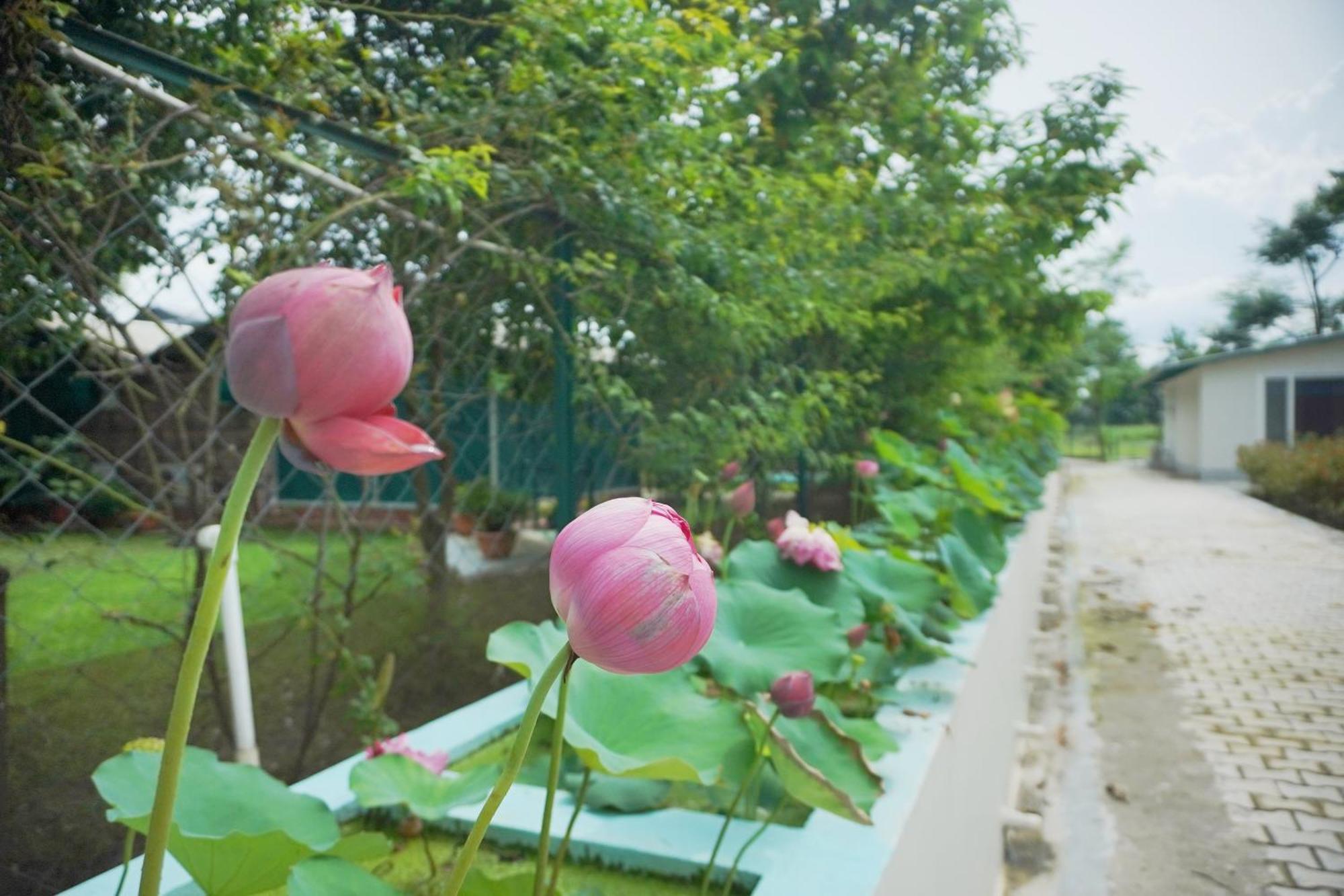 Sukoon - A Wellness Resort, Uttarakhand Chuharpur 외부 사진