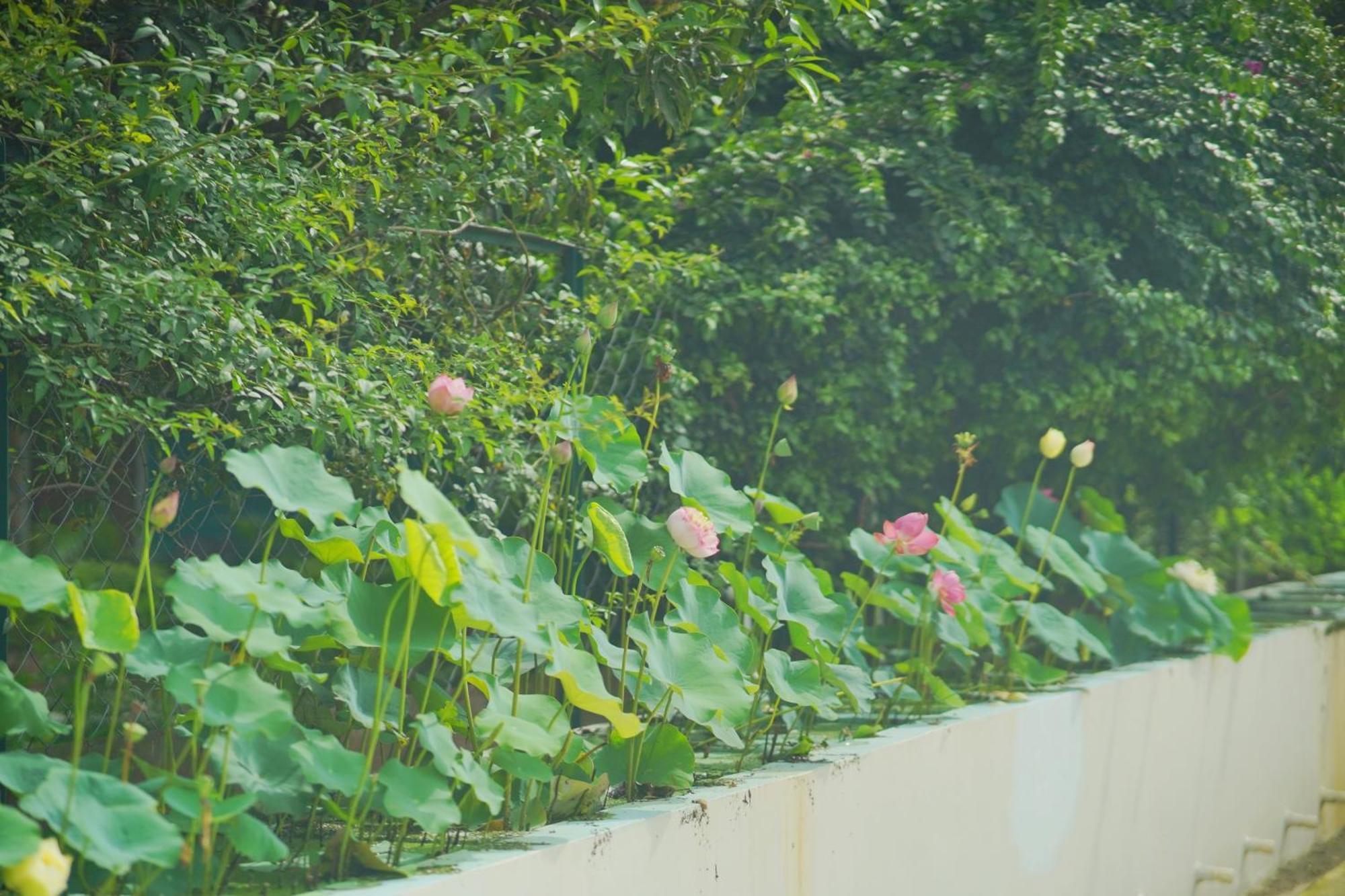 Sukoon - A Wellness Resort, Uttarakhand Chuharpur 외부 사진